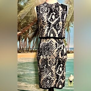 Sophisticate knit dress